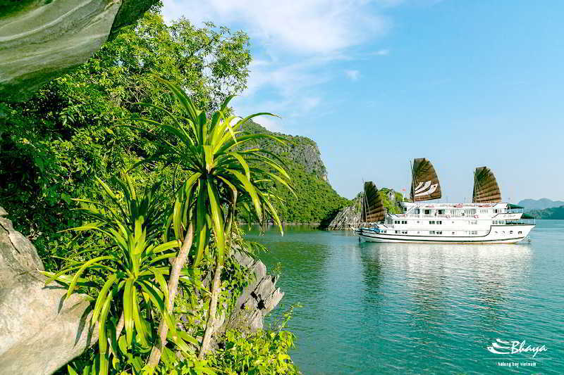 Bhaya Classic Cruises Ha Long Exterior photo